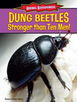 cover image of Dung Beetles: Stronger Than Ten Men!